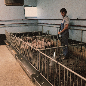 長沙鴻森機械有限公司,高壓清洗機,噴霧降溫降塵,工業(yè)清洗機, 長沙鴻森機械有限公司,高壓清洗機,噴霧降溫降塵,工業(yè)清洗機,